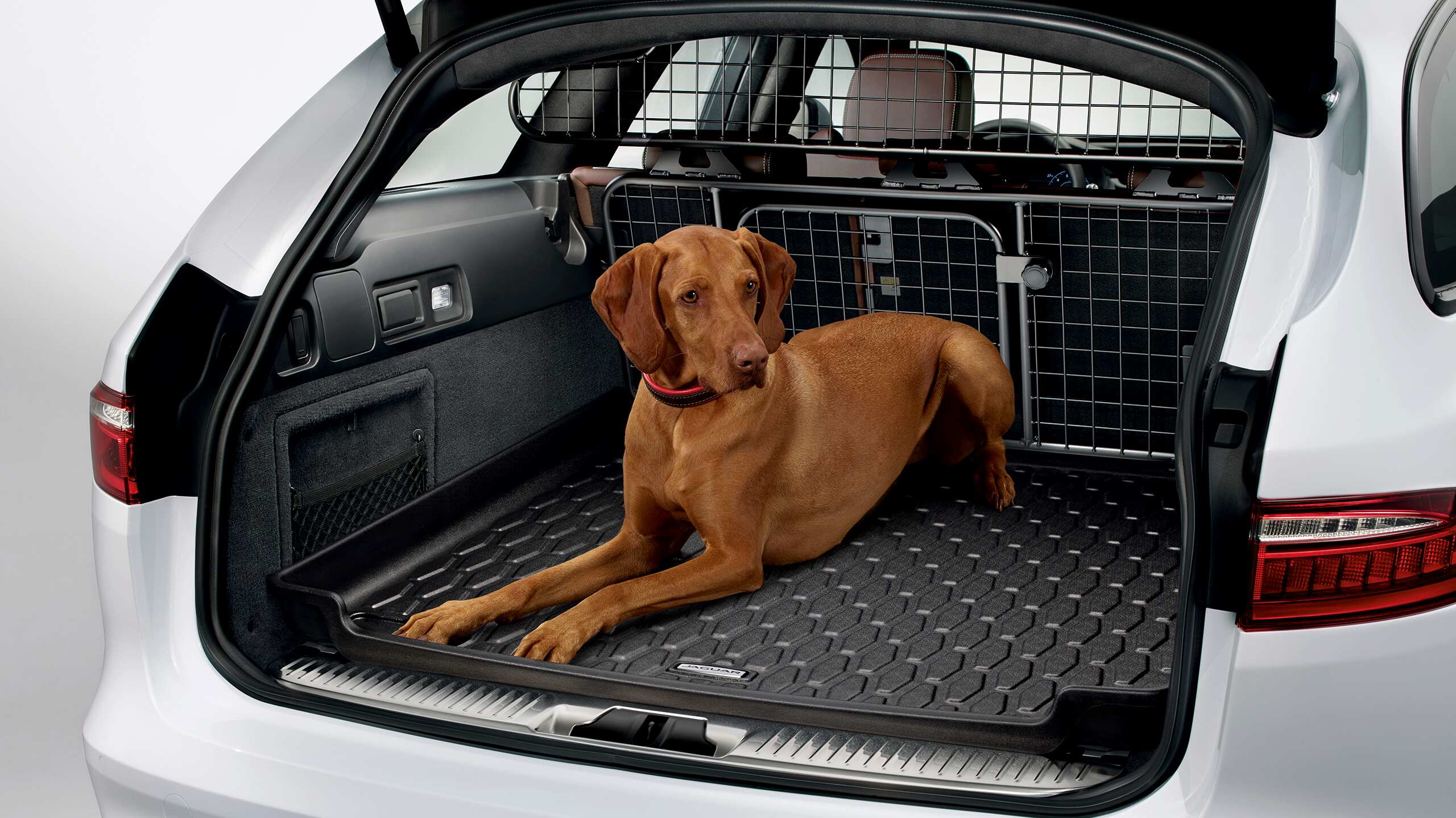 Jaguar Owner Support Jaguar India